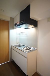 ドミール２００１ 102号-5