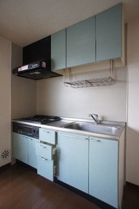 グリーンヴィラ 201号-3