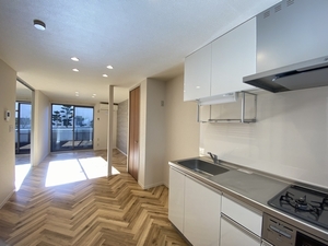 プチロッシュ 102号-3