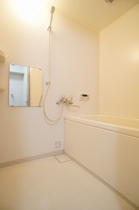 プチロッシュ 202号-9