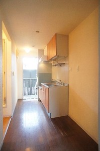 ヘルシオン 202号-4