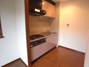 スプリングヒルズ 105号-3