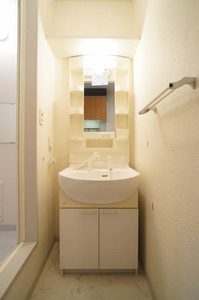 グリーントップ都立大 101号-9