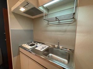 メゾンハナヤ 203号-4