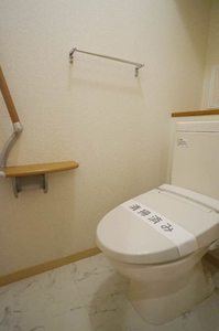ソレイユ高円寺 303号-8