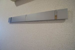 ソレイユ高円寺 303号-10