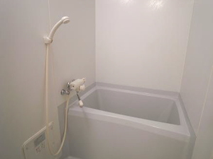 ドルフいなほ 105号-6