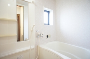 シャーメゾンＳｈｉｎ’ｓ　Ｂ 101号-9