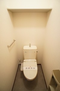 シャーメゾンＤ・Ｔ・Ｍ　Ｃ 101号-11