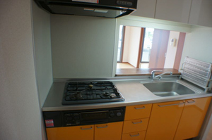 サングランシェ 102号-8