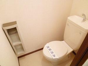 Ｌｉｍｅ　Ｈｉｌｌｓ 102号-10