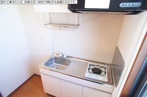 シェモアＳ 205号-7