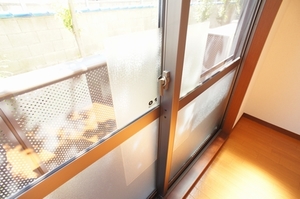 メゾン ドゥ コリーヌ 102号-10