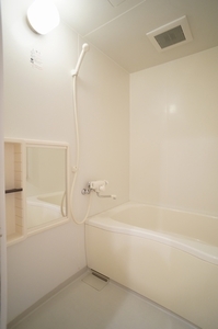 シャーメゾン・シナノⅡ 101号-8