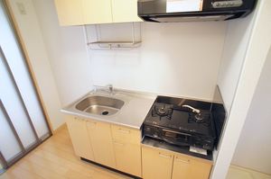プラザコート　Ⅱ 203号-8