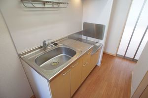 Ｗｅｉβ　Ｂｕｈｎｅ 305号-5