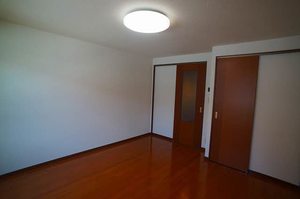 エルジノーサ 203号-3