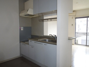 サンライズⅡ 203号-3
