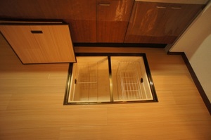 ミラコスタＢ 102号-6