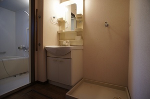 ミラコスタＢ 102号-8