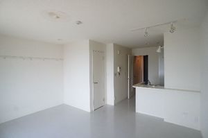 Ｗｈｉｔｅ　Ｃｕｂｅ　Ⅰ 303号-2