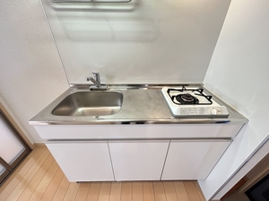 ギャロップ Ⅱ 103号-6