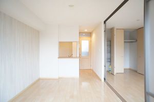 シャーメゾン・スカイ 201号-3