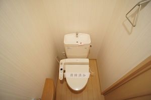 シャーメゾン・スカイ 201号-11