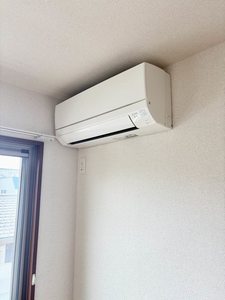 カーサティダー B 302号-12