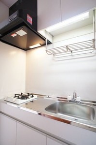 シャーメゾン石井 101号-8