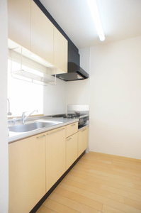 シャーメゾン樹光 203号-4