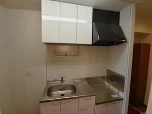 パルボナール　Ⅲ 203号-10