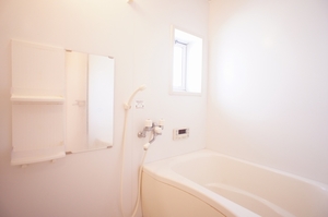 シャーメゾンＮＥＯ　Ｉ 101号-10