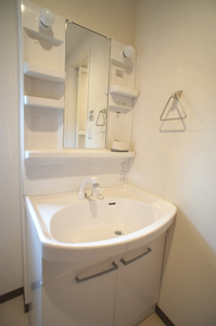 カーサ・モデルノ 202号-8