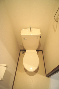 カーサ・モデルノ 202号-10