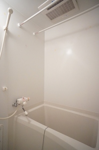 Ｔｈｉｎｅｈ　Ｆｌａｔ’ｓ（ティネフラッツ） 101号-9