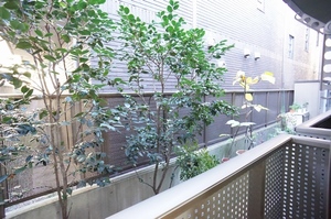 Ｔｈｉｎｅｈ　Ｆｌａｔ’ｓ（ティネフラッツ） 101号-13