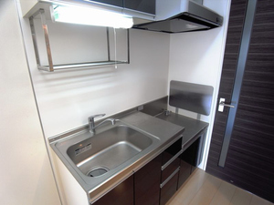 ラフィネ　パルク 203号-3