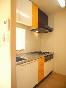 グリーンコート多摩川 203号-11