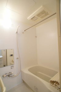 エタニティコート赤坂氷川町 102号-10