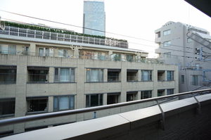 エタニティコート赤坂氷川町 303号-12