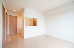 ＧＩＲＡＳＯＬＥ－ＯＶＥＳＴ 202号-2