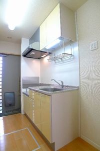 Ｓｕｎ　Ｈｅｉｍ　Ｈｉｋａｗａｄａｉ 102号-5