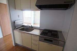 チャ・ベーネⅢ 202号-4