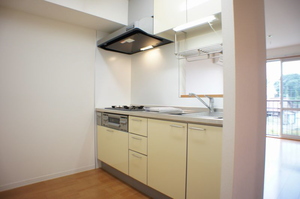 リーベン秋川 201号-4