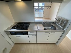 パークレジデンス田園調布 105号-10