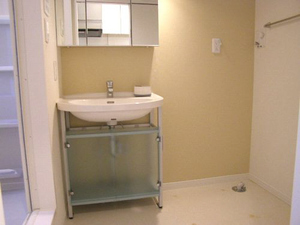 グラシューズＮ 101号-3