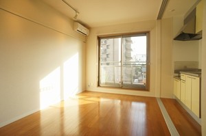 ラフィーネ　ドミール 305号-2