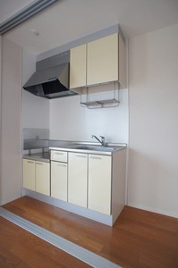 ラフィーネ　ドミール 305号-4