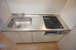 レフィナード山王 202号-5